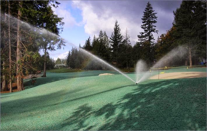 Mr Green-Up Hydroseeding | 793 Celestial Pl, Gibsons, BC V0N 1V9, Canada | Phone: (604) 740-1211