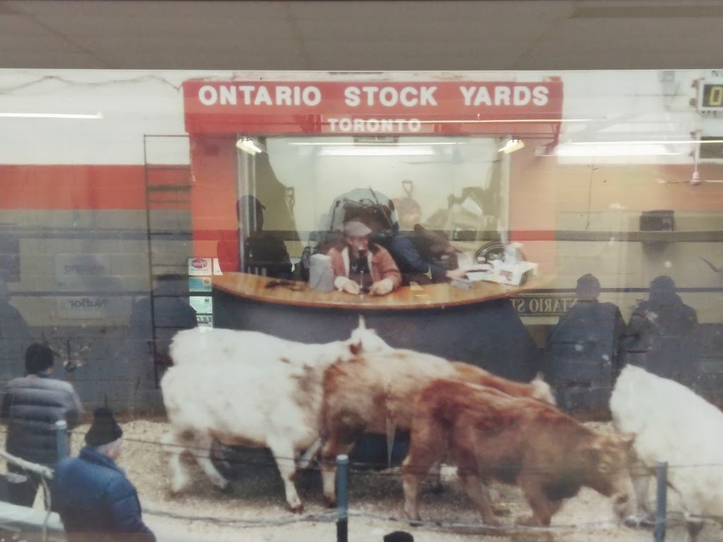 Ontario Stockyards Inc | 3807 ON-89, Cookstown, ON L0L 1L0, Canada | Phone: (705) 458-4000