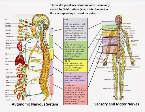 Burkholder Chiropractic Centre | 264 Water St N, Cambridge, ON N1R 3C2, Canada | Phone: (519) 624-4995