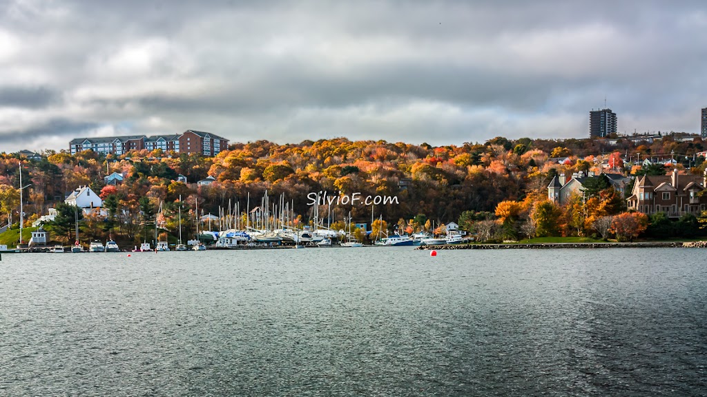 Armdale Yacht Club | 75 Burgee Run, Halifax, NS B3P 0C9, Canada | Phone: (902) 477-4617