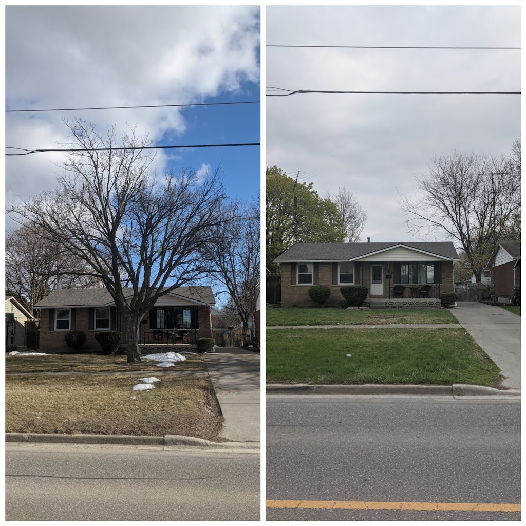 Eager Beaver Stump Removal | 11145 Ridge Line, Blenheim, ON N0P 1A0, Canada | Phone: (226) 626-4991