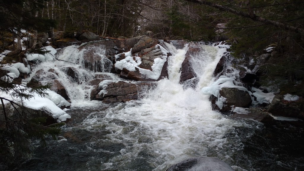 Pockwock Falls Trailhead | 1366 Pockwock Rd, Upper Hammonds Plains, NS B4B 1P2, Canada