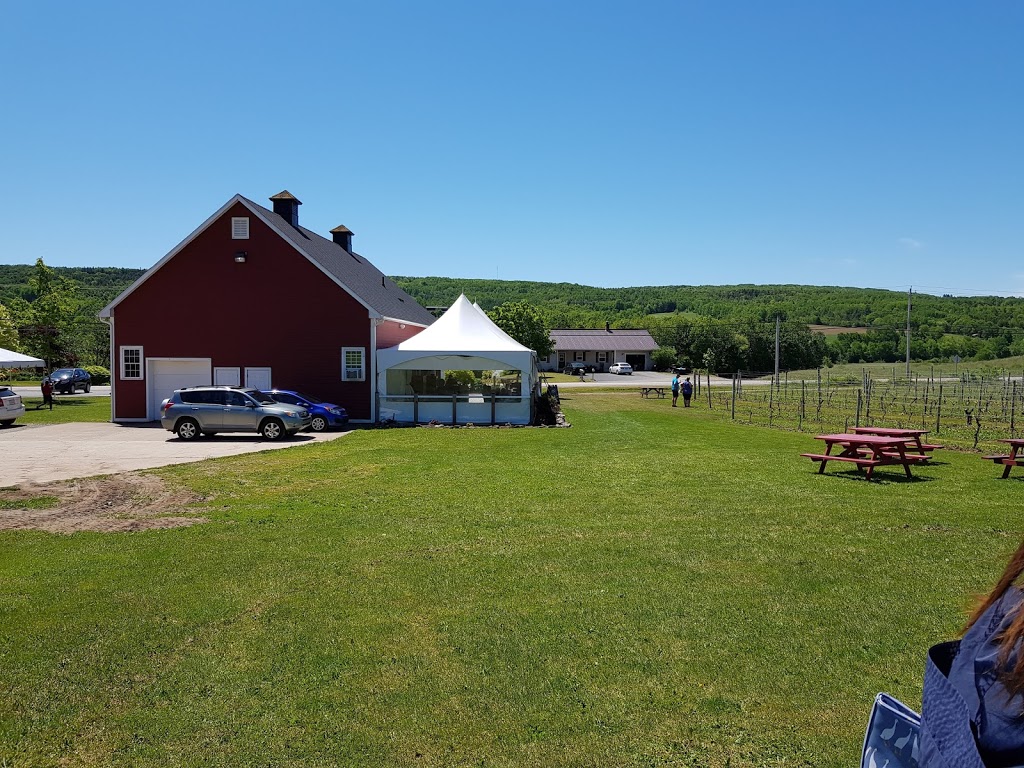 Magic Winery Bus Limited | 11 Willow Ave, Wolfville, NS B4P 1A1, Canada | Phone: (902) 670-0340