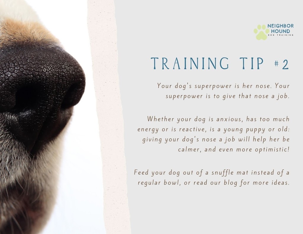 Neighborhound Dog Training | Forest Grove Dr, Burnaby, BC V5A 4H5, Canada | Phone: (604) 265-8720