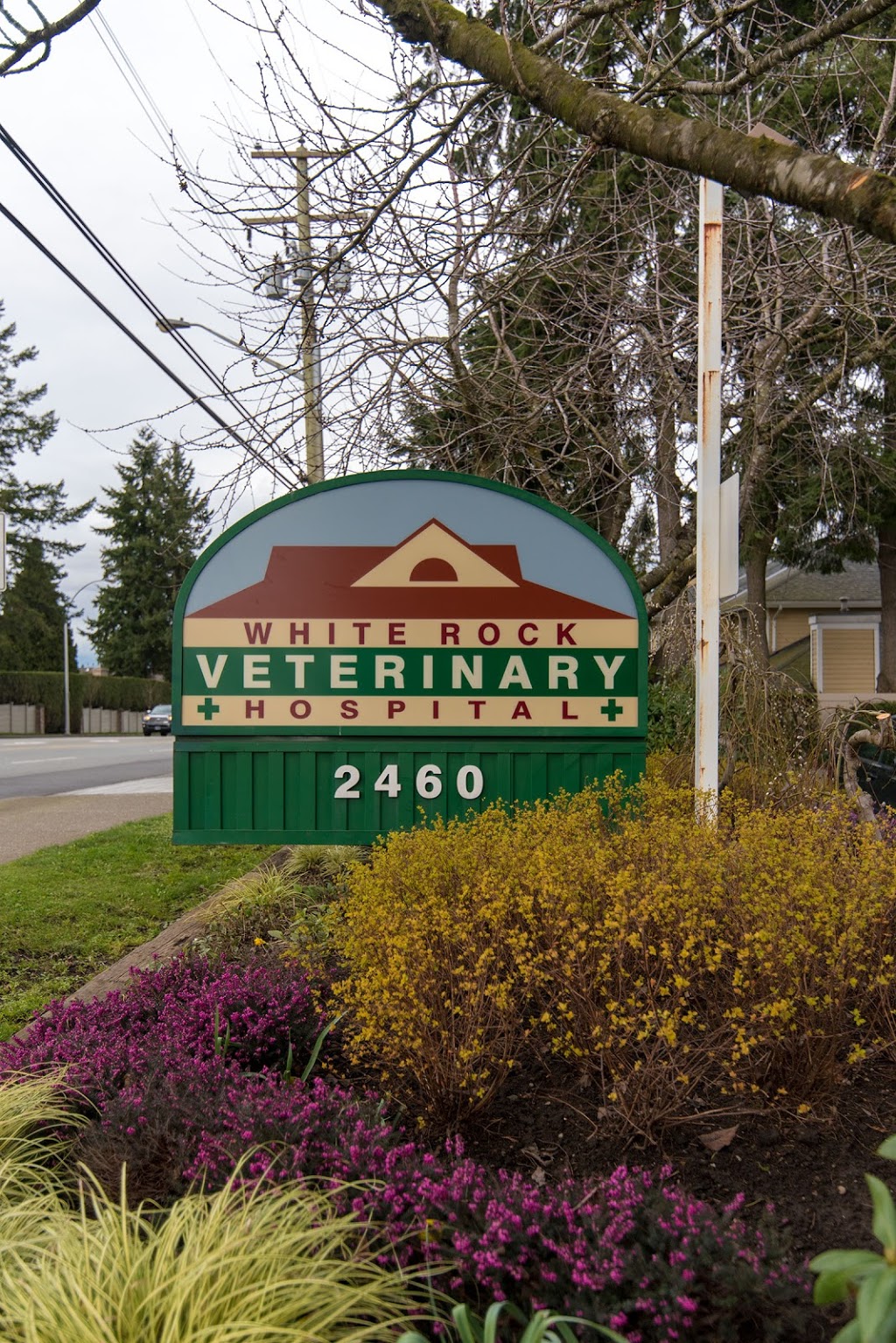 White Rock Veterinary Hospital | 2460 152 St, Surrey, BC V4P 1M8, Canada | Phone: (604) 536-7618