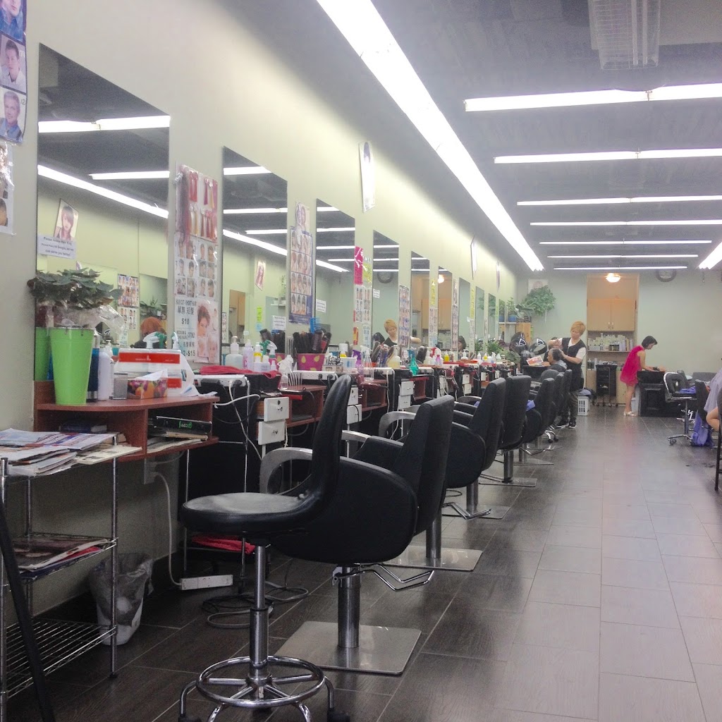 Hair King | 3068 Don Mills Rd E, North York, ON M2J 3C1, Canada | Phone: (416) 498-9828