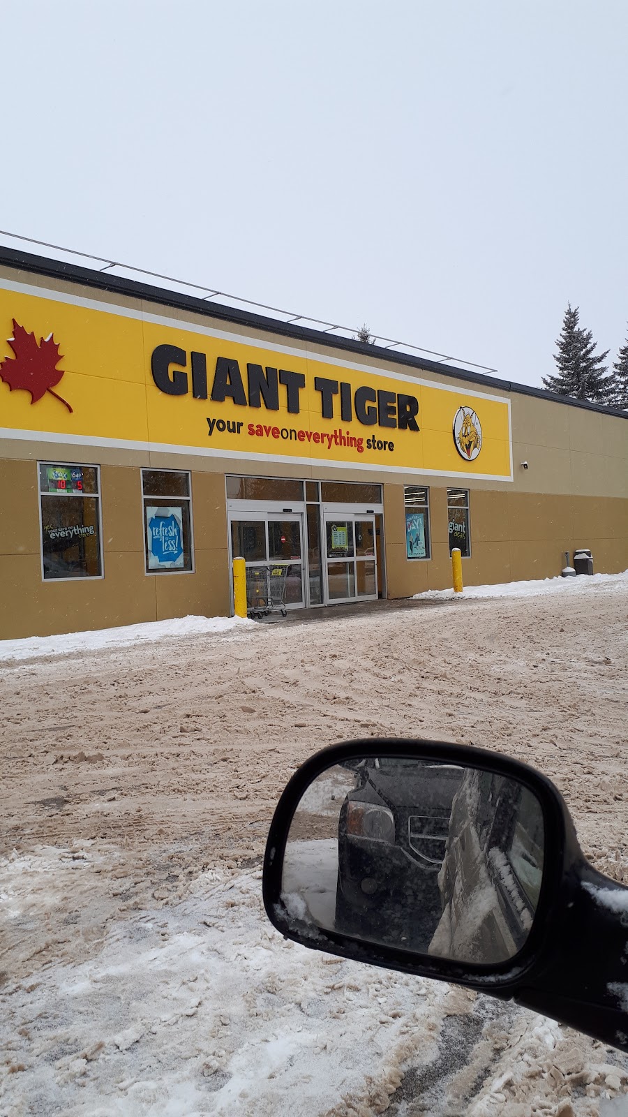 Giant Tiger | 10211 100 St, Westlock, AB T7P 2G5, Canada | Phone: (780) 349-4926