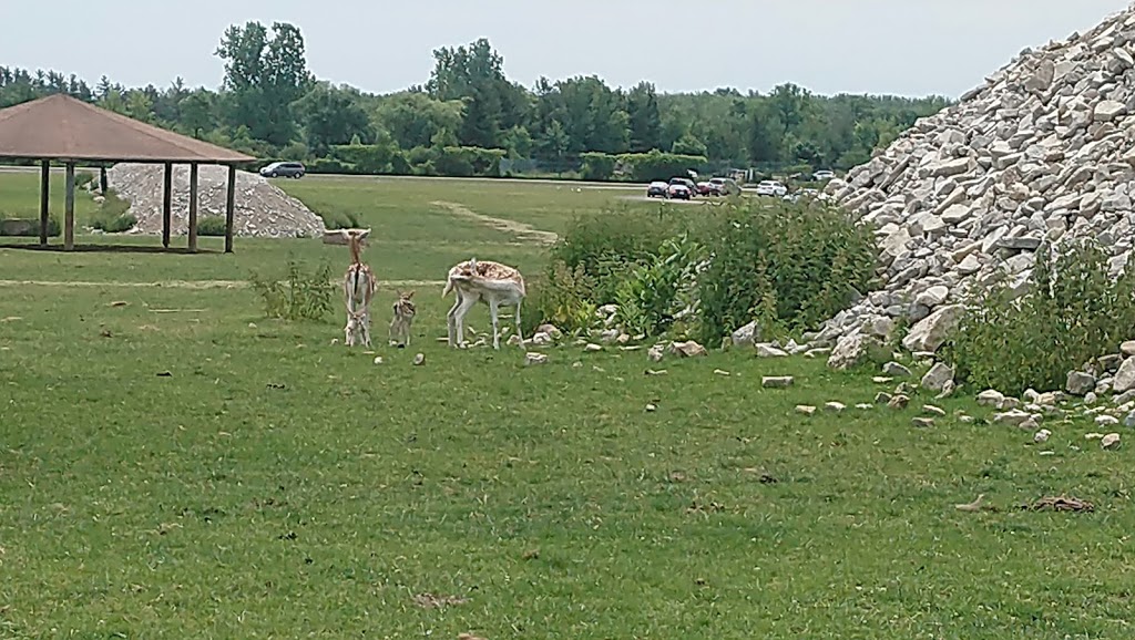 Elephant Round-Up | Flamborough, Hamilton, ON N1R 5S2, Canada