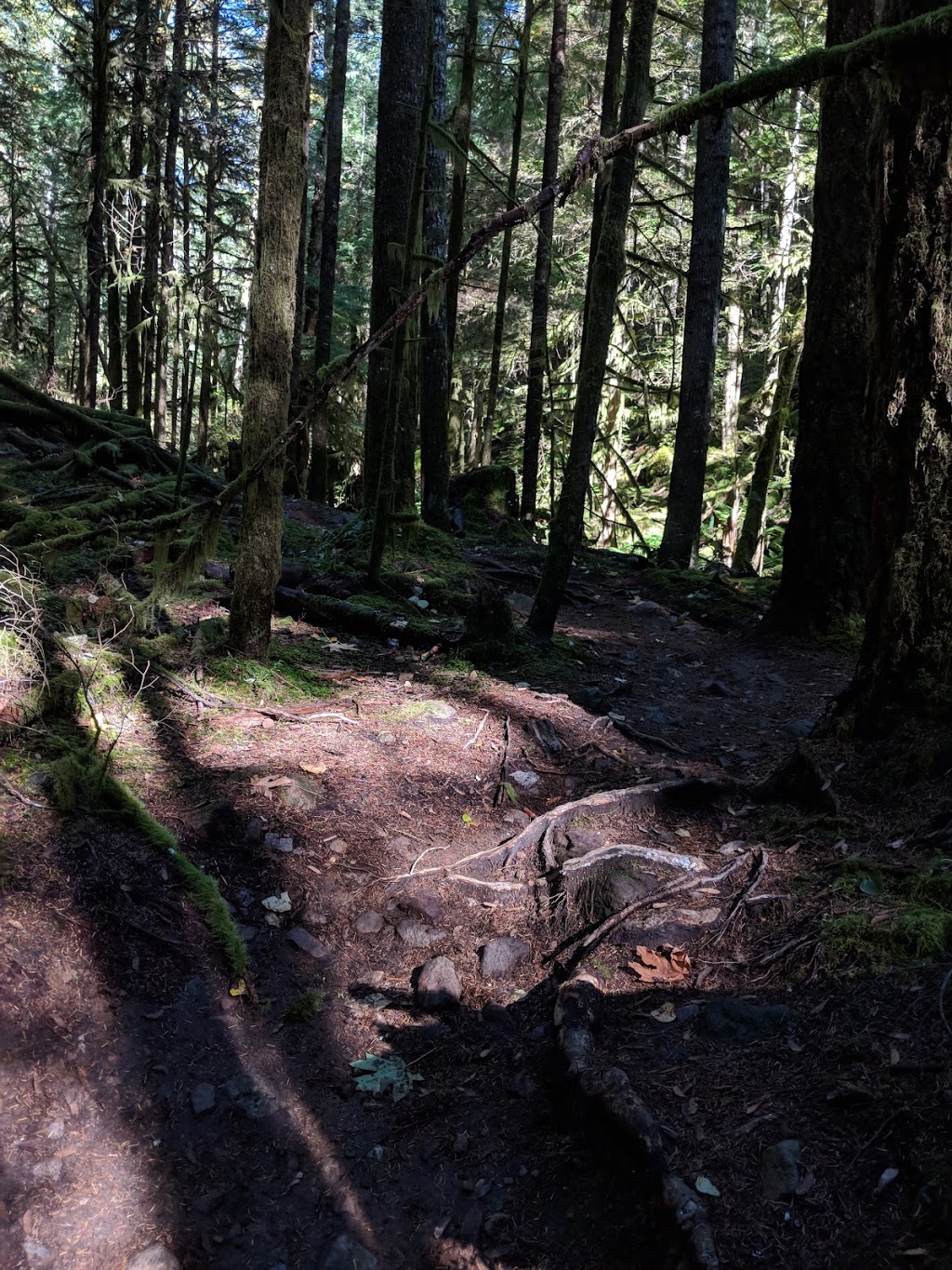 Jacks Trail | Unnamed Road, Squamish, BC V8B 0P6, Canada | Phone: (604) 710-4681