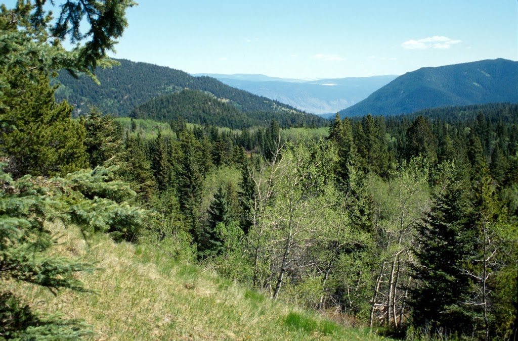 Bedard Aspen Provincial Park | Ashcroft, BC V0K 1A0, Canada | Phone: (250) 356-9234