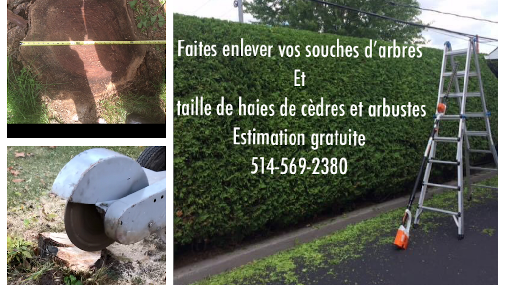 Dulude Paysagement Essouchage D’arbres | 3455 Chemin Sainte-Thérèse, Carignan, QC J3L 4A7, Canada | Phone: (514) 569-2380