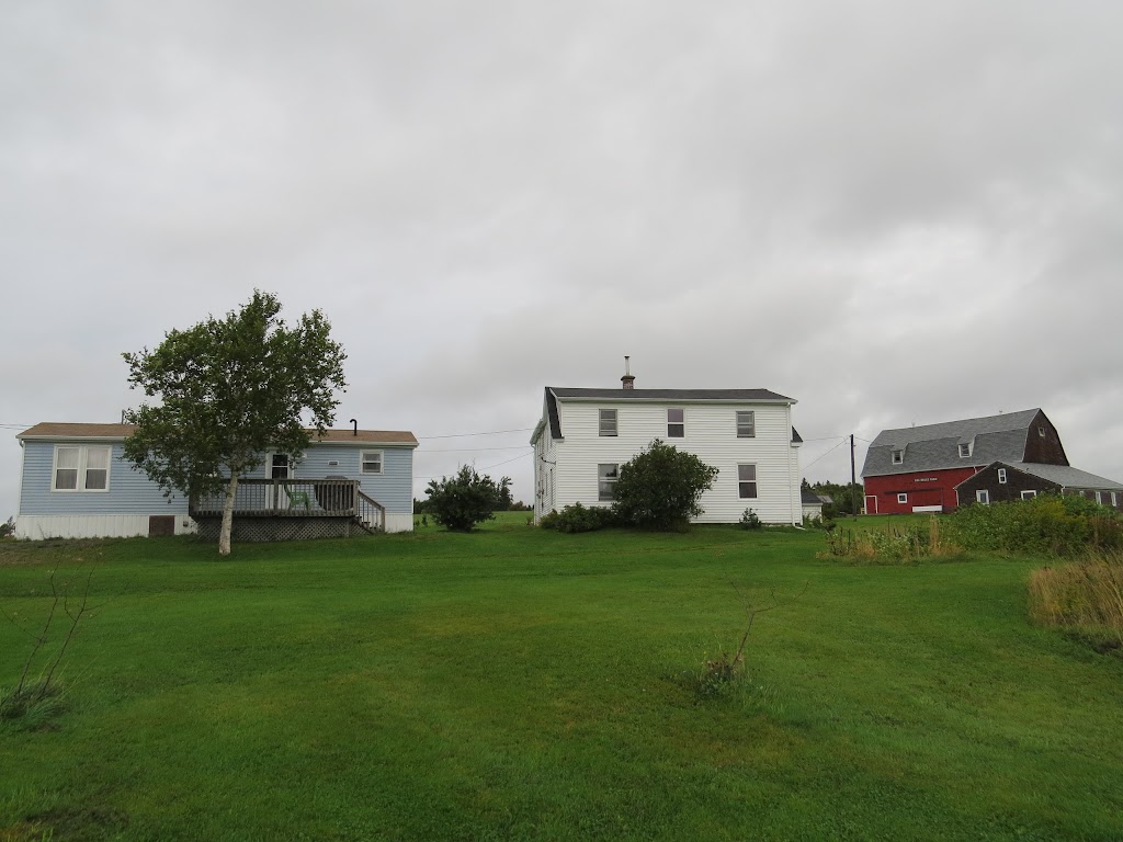 Big Belle Farm | 891 SW Ridge Rd, Mabou Station, NS B0E 1X0, Canada | Phone: (902) 956-9432