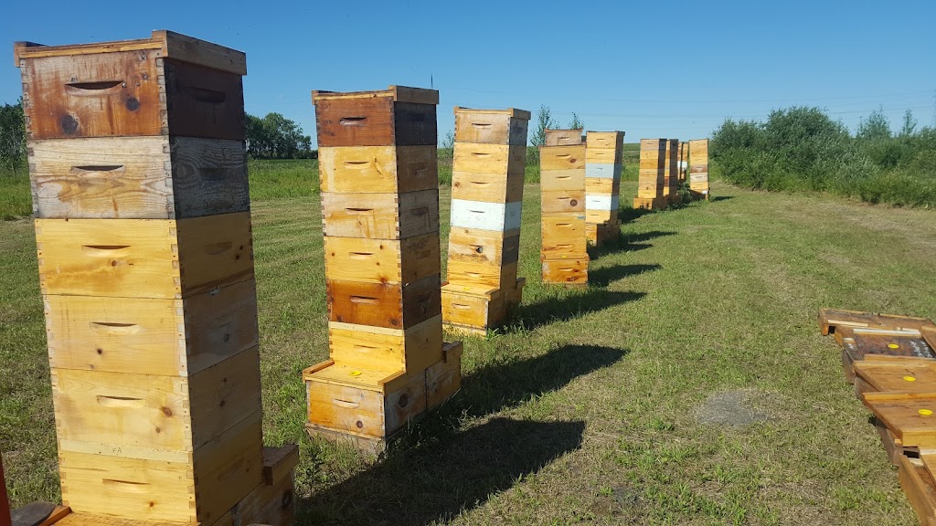 Faith Apiaries | 32076 Rd 89 N, Poplar Park, MB R0E 1C0, Canada | Phone: (204) 232-5180