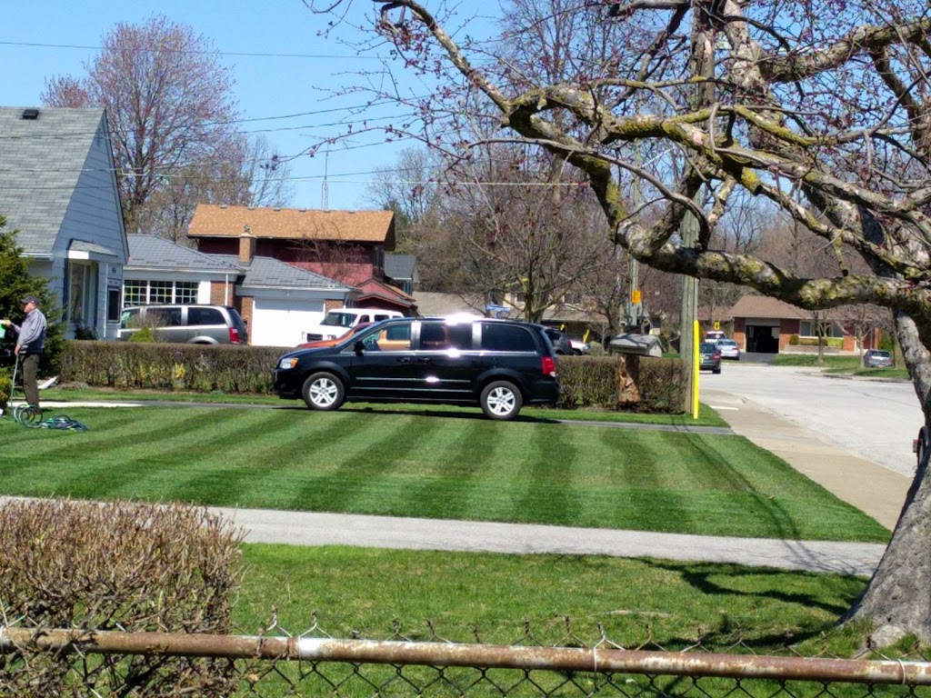 Lawn Rolling | 4479 Dorchester Rd, Niagara Falls, ON L2E 6N5, Canada | Phone: (647) 907-6974