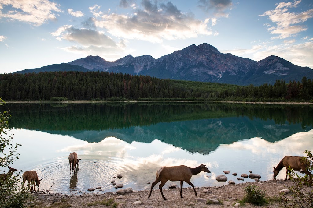 Canmore Trails and Tales | Canmore Recreation Centre Tour Meeting Location, Canmore, AB T1W 1Y2, Canada | Phone: (403) 679-1572