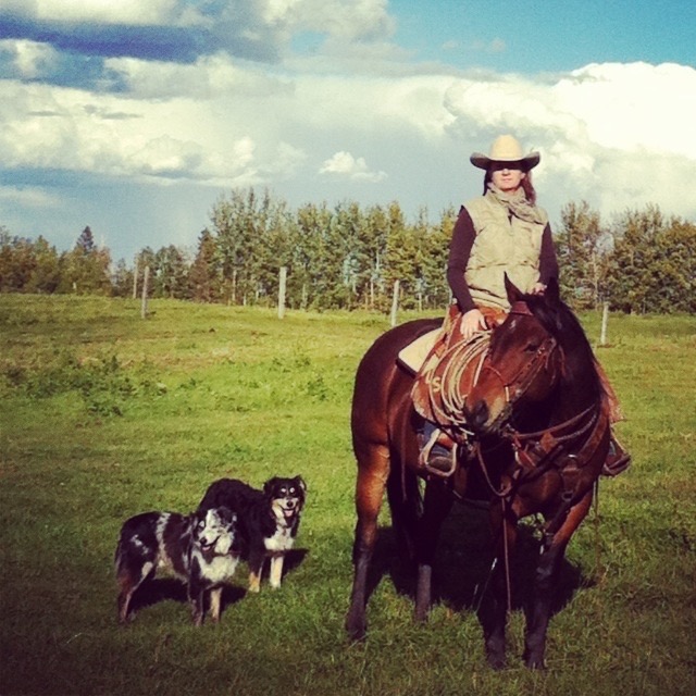 Ram Rides - Ram River Tours | Unnamed Road, Clearwater County, AB T0M 0M0, Canada | Phone: (403) 844-0408