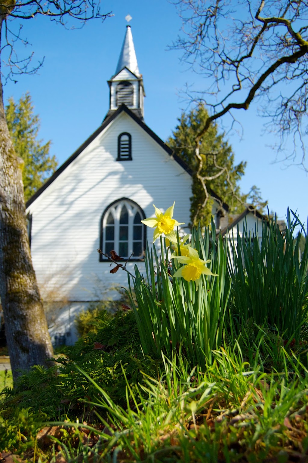 Saint Columbas Church - Anglican Ordinariate | 40 High St, Victoria, BC V8Z 5C7, Canada | Phone: (250) 385-4444