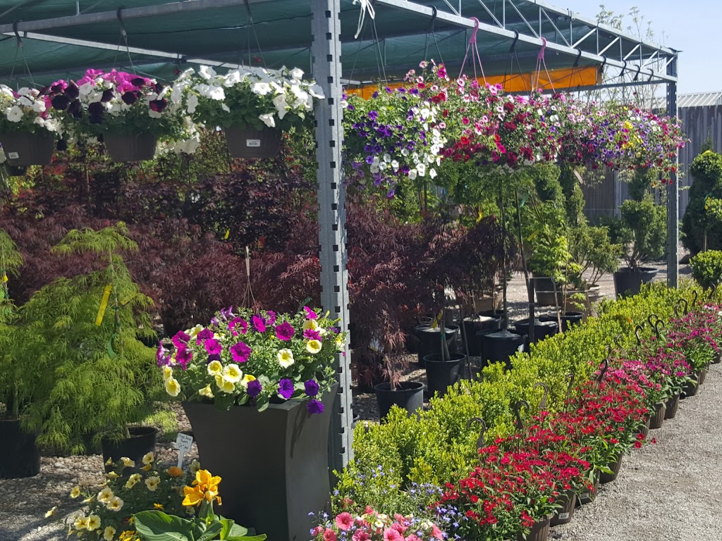 Silver Leaf Nursery and Garden Centre/ Landscaping | 5145 Kalar Rd, Niagara Falls, ON L2H 1T1, Canada | Phone: (289) 214-1967