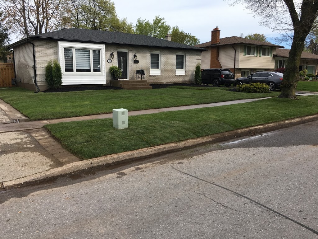 Team Green Lawn Care | 1403 Kottmeier Rd, Welland, ON L3B 5N5, Canada | Phone: (905) 321-4648