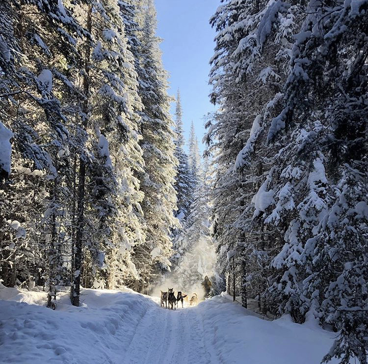 Mountain Man Dog Sled Adventures | 3250 Village Way, Sun Peaks, BC V0E 5N0, Canada | Phone: (250) 319-7205