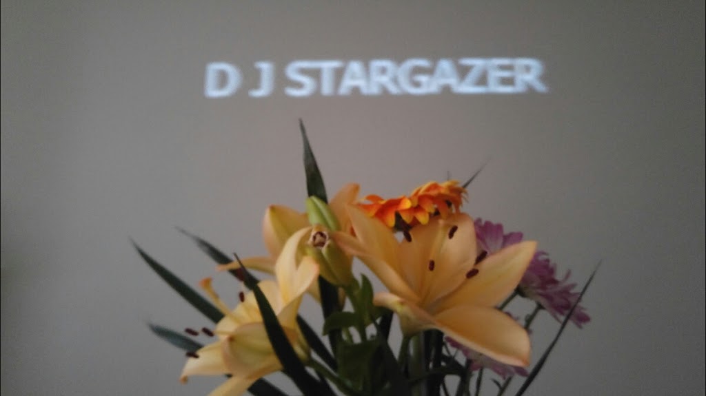 Stargazer DJ & Media Entertainment | 74 Janefield Ave, Guelph, ON N1G 2L6, Canada | Phone: (519) 994-7492