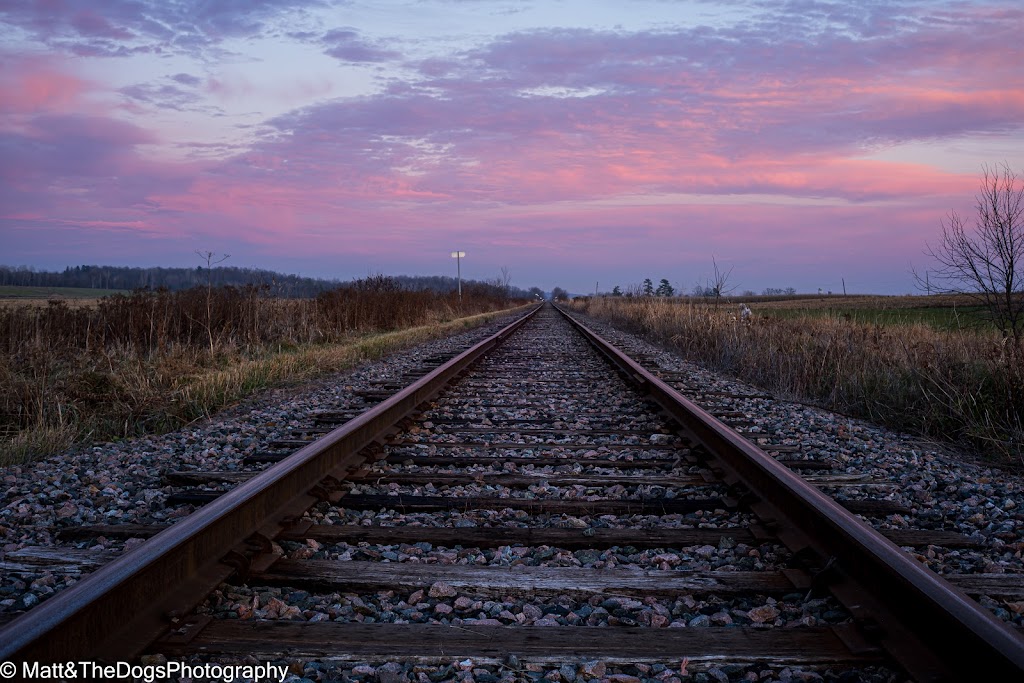 Matt&TheDogs Photography | 218 Rue Guy-Lafleur, Thurso, QC J0X 3B0, Canada | Phone: (819) 329-2811