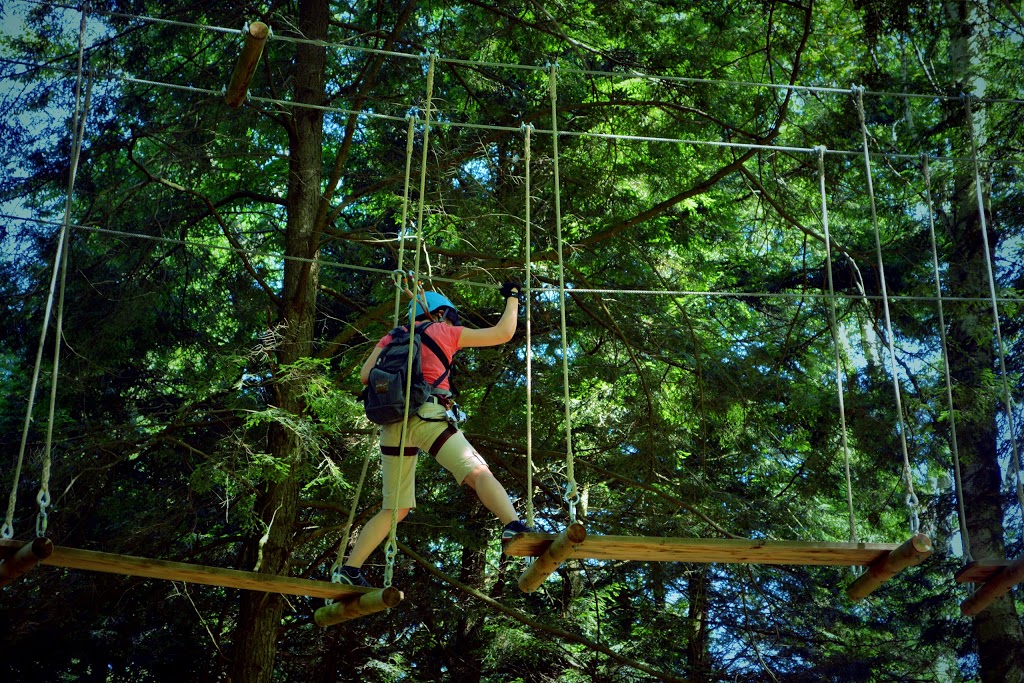Treetop Eco-Adventure Park | 53 Snow Ridge Ct, Oshawa, ON L1H 7K4, Canada | Phone: (905) 655-1113