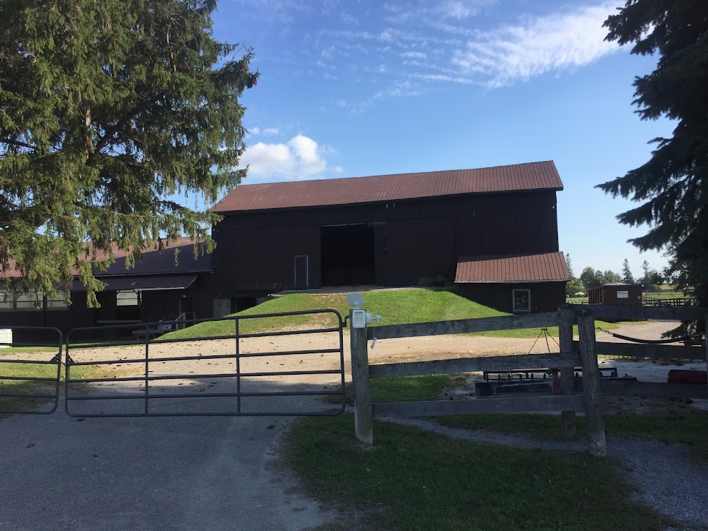 Rossland Stables | 13639 Warden Ave., Whitchurch-Stouffville, ON L4A 7X5, Canada | Phone: (416) 200-0320