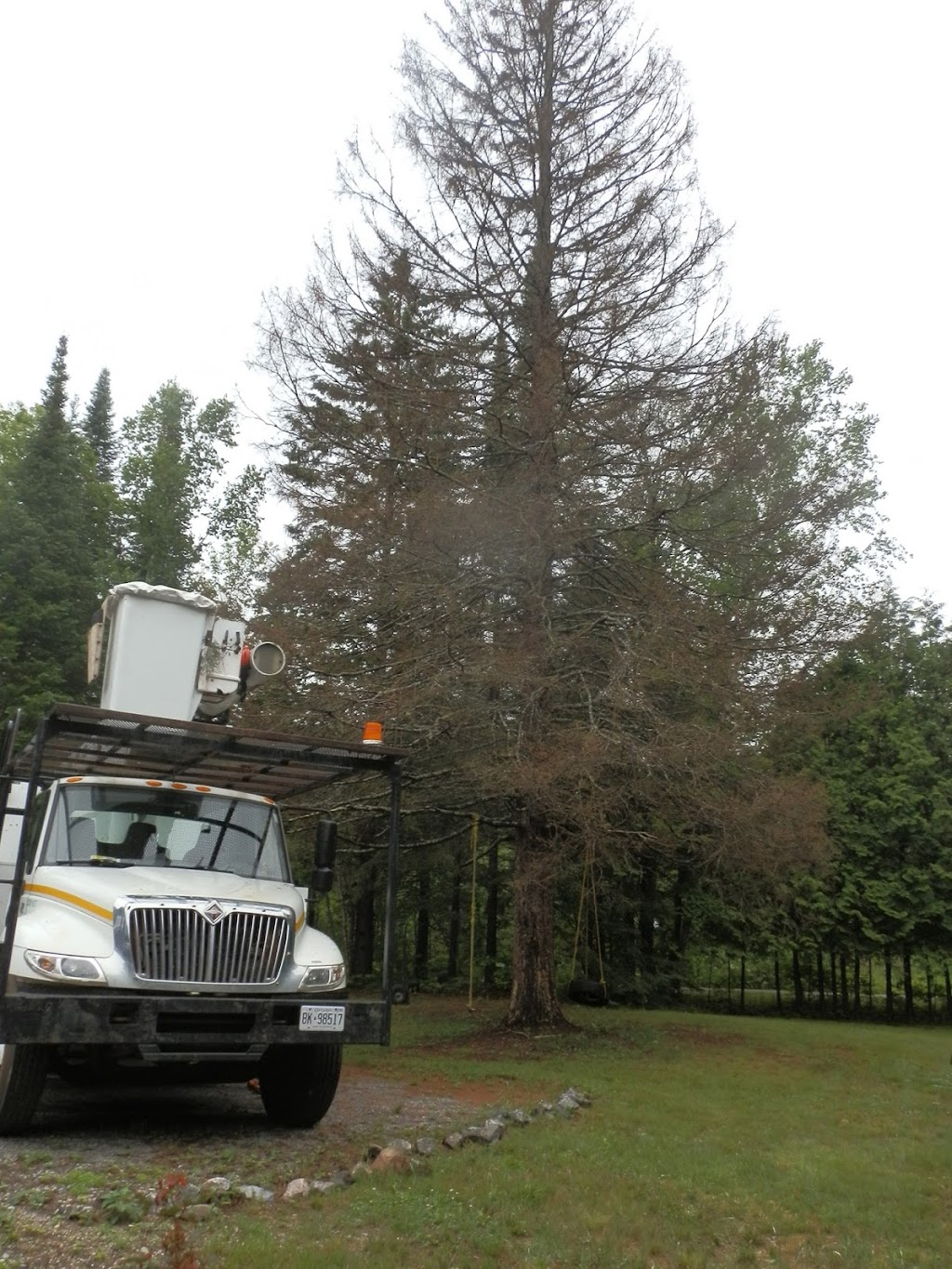 Davey Tree Expert Co. of Canada, Limited | 5 Monica Ln, Bracebridge, ON P1L 1P8, Canada | Phone: (705) 645-1965