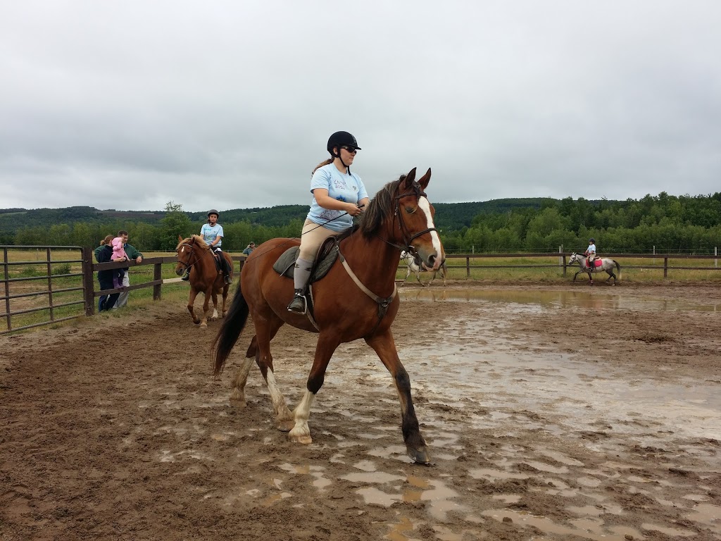 Rohan Wood Stables | 382 Morden Rd, Aylesford, NS B0P 1C0, Canada | Phone: (902) 847-1278