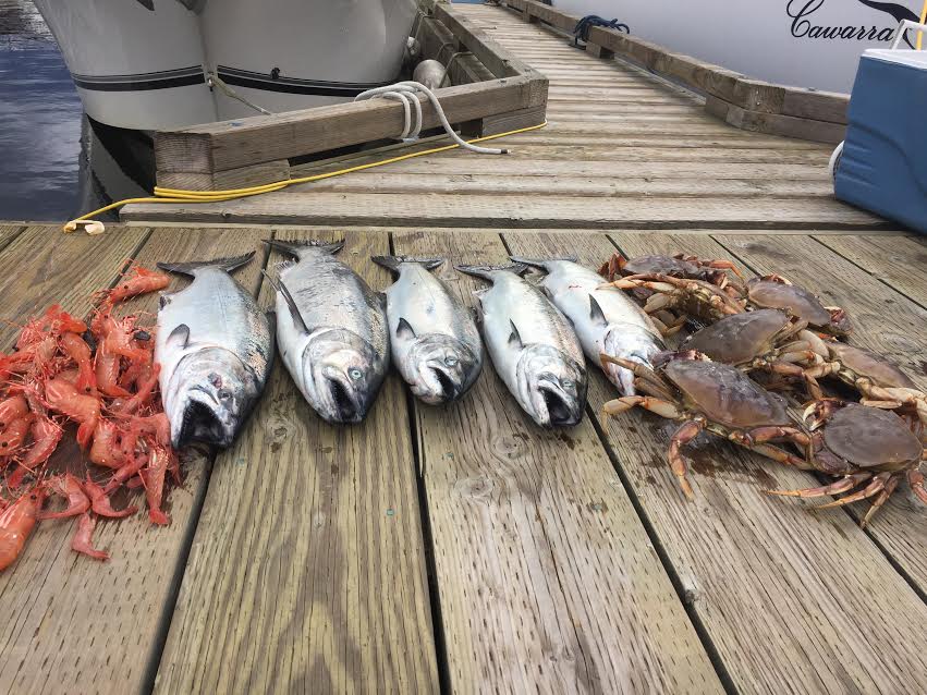 First Fish Charters | 850 Barnet Hwy, Port Moody, BC V3H 1V6, Canada | Phone: (604) 202-6522