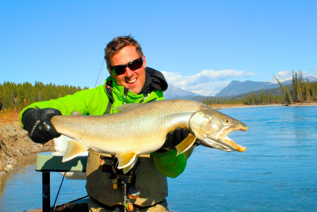 FREESTONE FLY ANGLER | GUIDING FLY FISHING TRIPS ON THE ELK AND COLUMBIA RIVERS, 100 Riverside Way, Fernie, BC V0B 1M0, Canada | Phone: (406) 672-7386