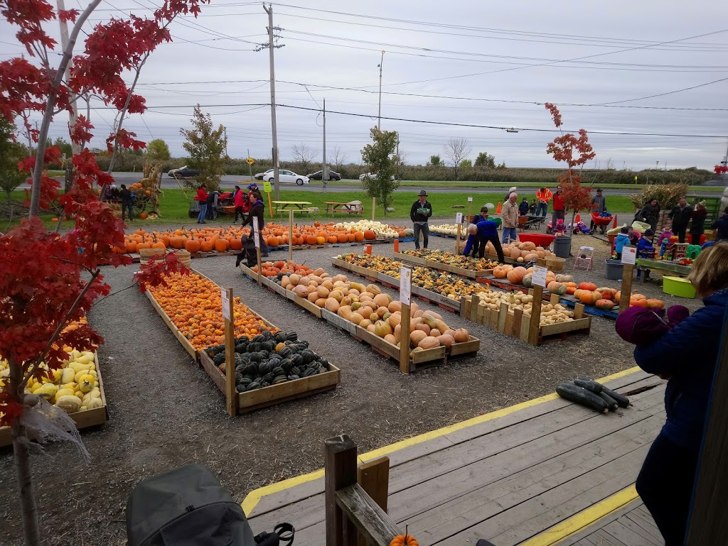 Marché Fermier | Saint-Basile-le-Grand, QC J3G 6V8, Canada | Phone: (514) 838-9262