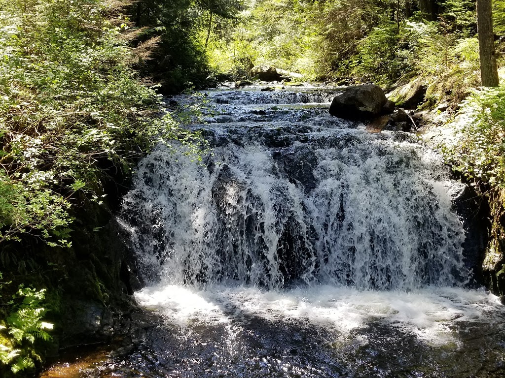 Rolley Lake Provincial Park Campground | Mission, BC V4S 1C6, Canada | Phone: (604) 466-8325