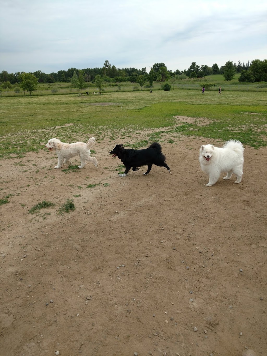 Kiwanis Dog Park | Bridgeport North, Kitchener, ON N2K 3N8, Canada
