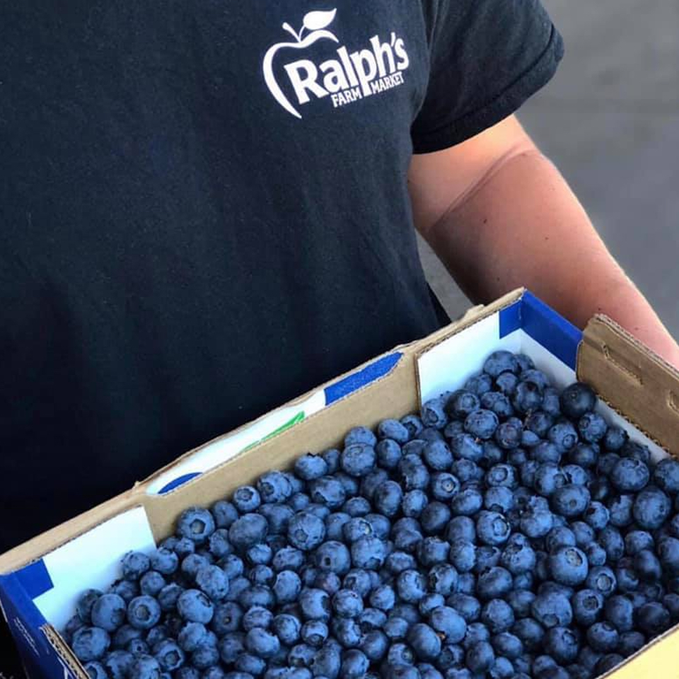 Ralphs Blueberry Farm | 22728 Fraser Hwy, Langley, BC V2Z 2T8, Canada | Phone: (604) 534-4324