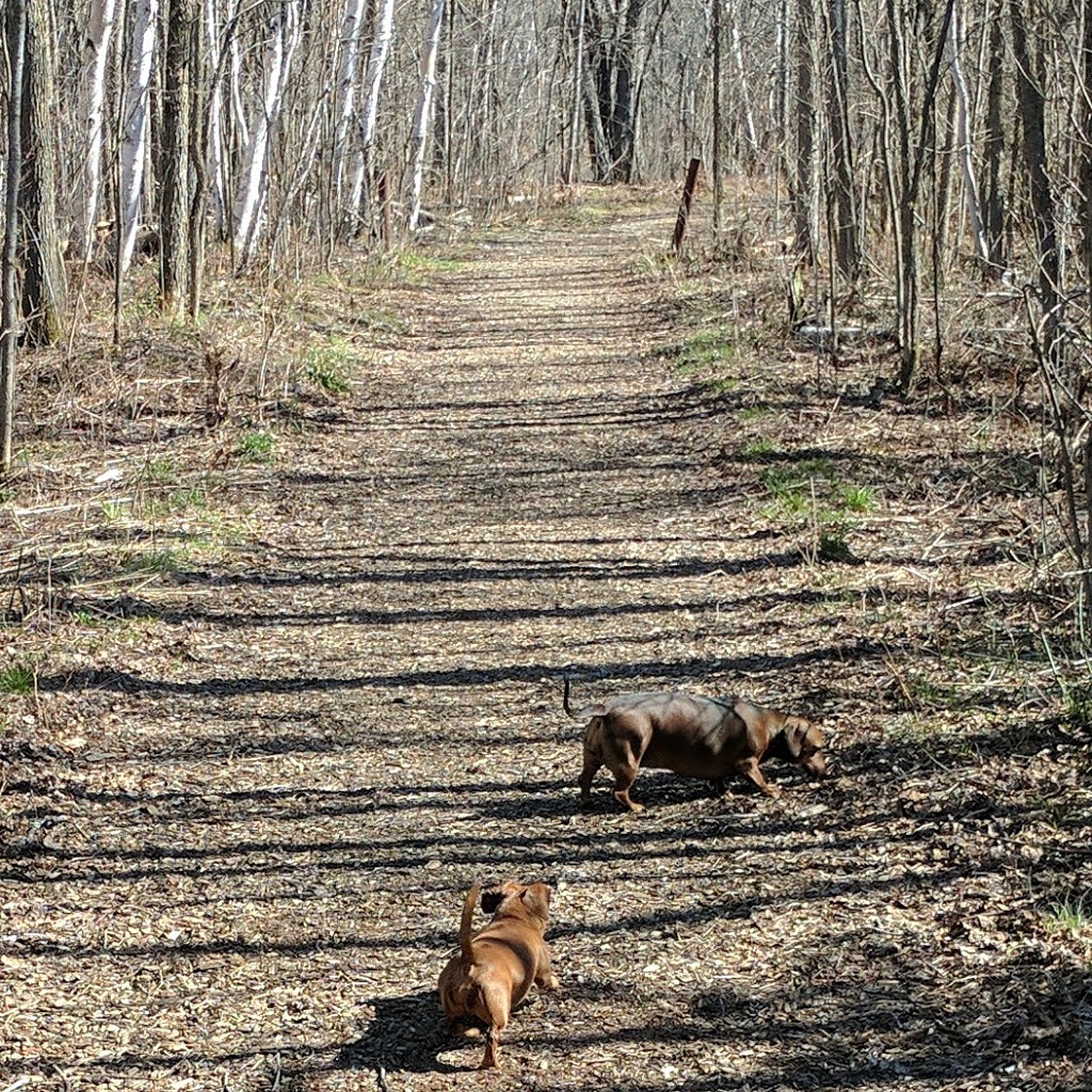 Langdon Park | 2653-2747 Martin Rd, Blezard Valley, ON P0M 1E0, Canada