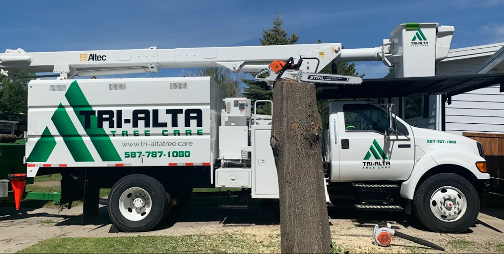 Tri-Alta Tree Care Inc | 3755 18 Ave N, Lethbridge, AB T1H 6T2, Canada | Phone: (587) 787-1080