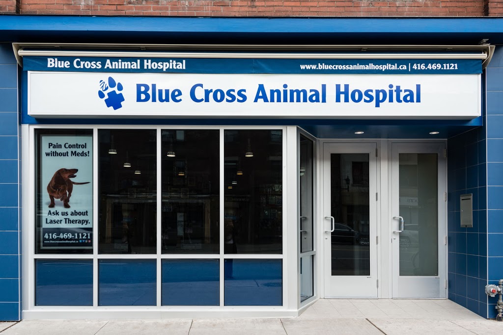 Blue Cross Animal Hospital | 132 Danforth Ave, Toronto, ON M4K 1N1, Canada | Phone: (416) 469-1121