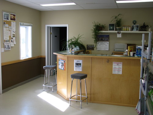 Rosthern Veterinary Clinic | 4016 Saskatchewan St, Rosthern, SK S0K 3R0, Canada | Phone: (306) 232-4323