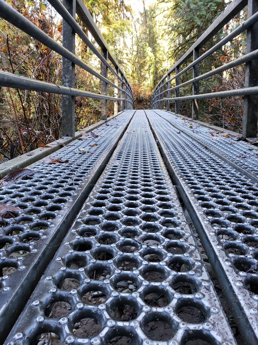 North Fork Loop Trail, | N Fork Loop Trail, Maple Ridge, BC V4R 1E3, Canada