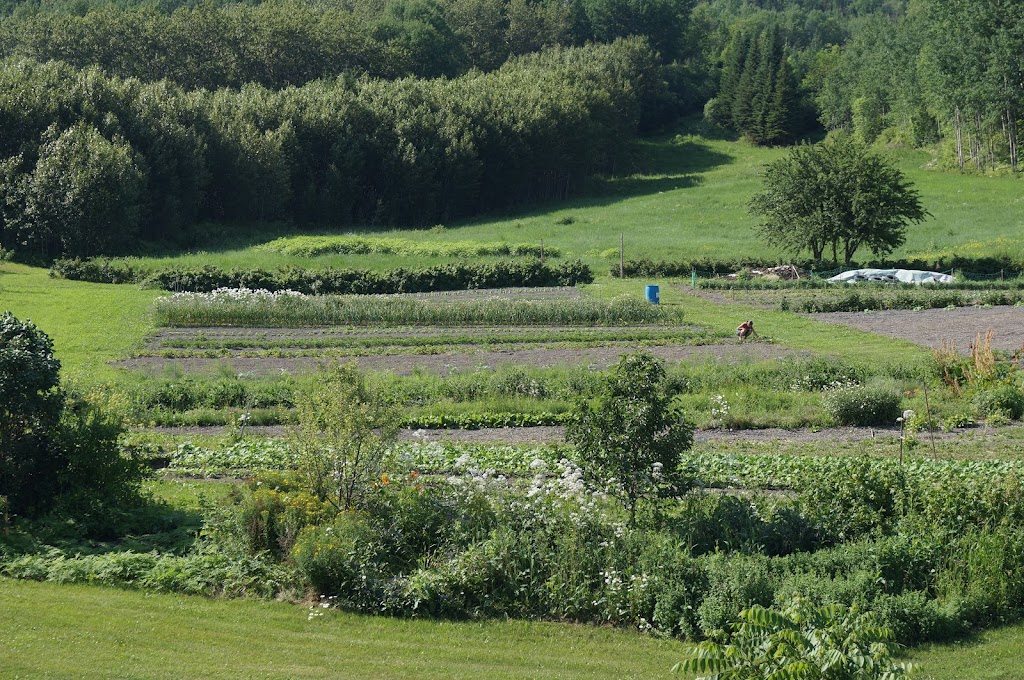 Le Jardin des Mômes | 576 Chem. de lAnse A Pelletier, Saint-Fulgence, QC G0V 1S0, Canada | Phone: (418) 674-1787