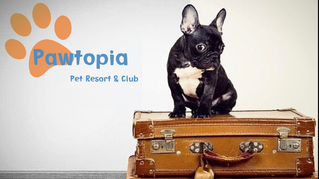 Pawtopia Pet Resort Club | 111750, Grey County Rd 14, Conn, ON N0G 1N0, Canada | Phone: (647) 808-3297