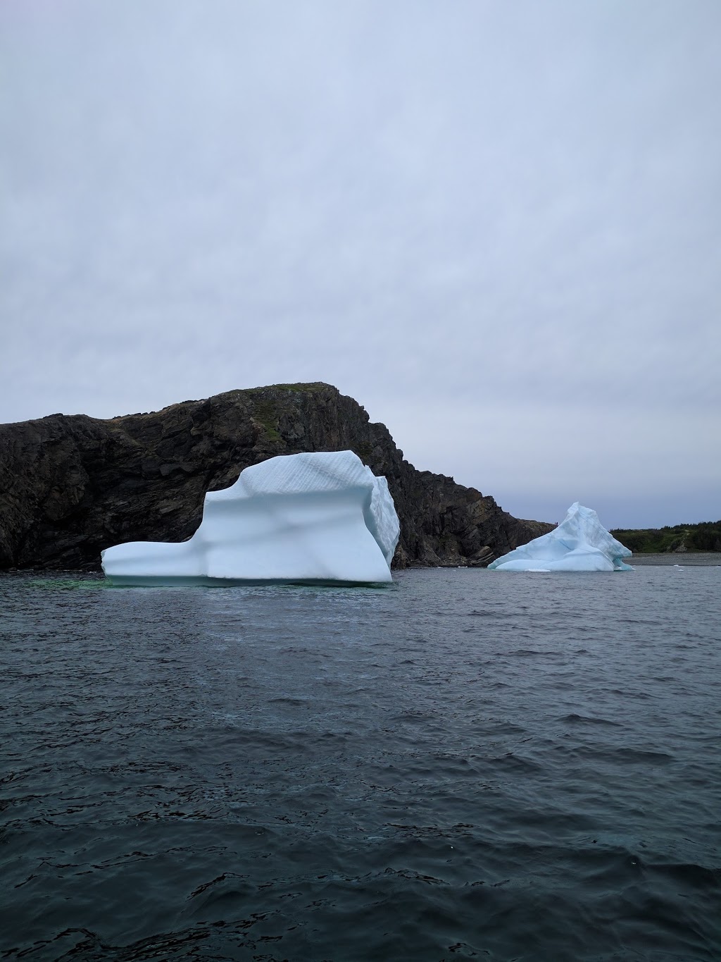 Iceberg Quest Ocean Tours | 135 Harbour Drive Pier 6, St. Johns, NL A1C 6N6, Canada | Phone: (709) 722-1888