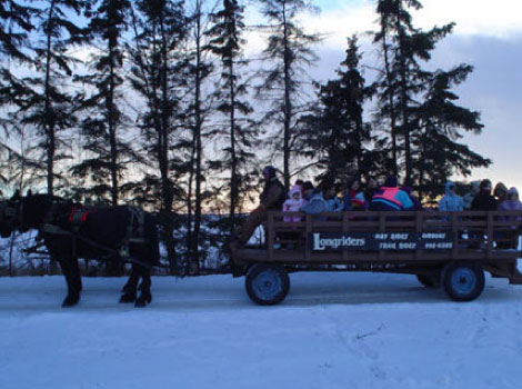 Longriders Wagon Rides and Sleigh Rides Edmonton | 23136 Secondary Highway 643, Gibbons, AB T0A 1N0, Canada | Phone: (780) 203-2122