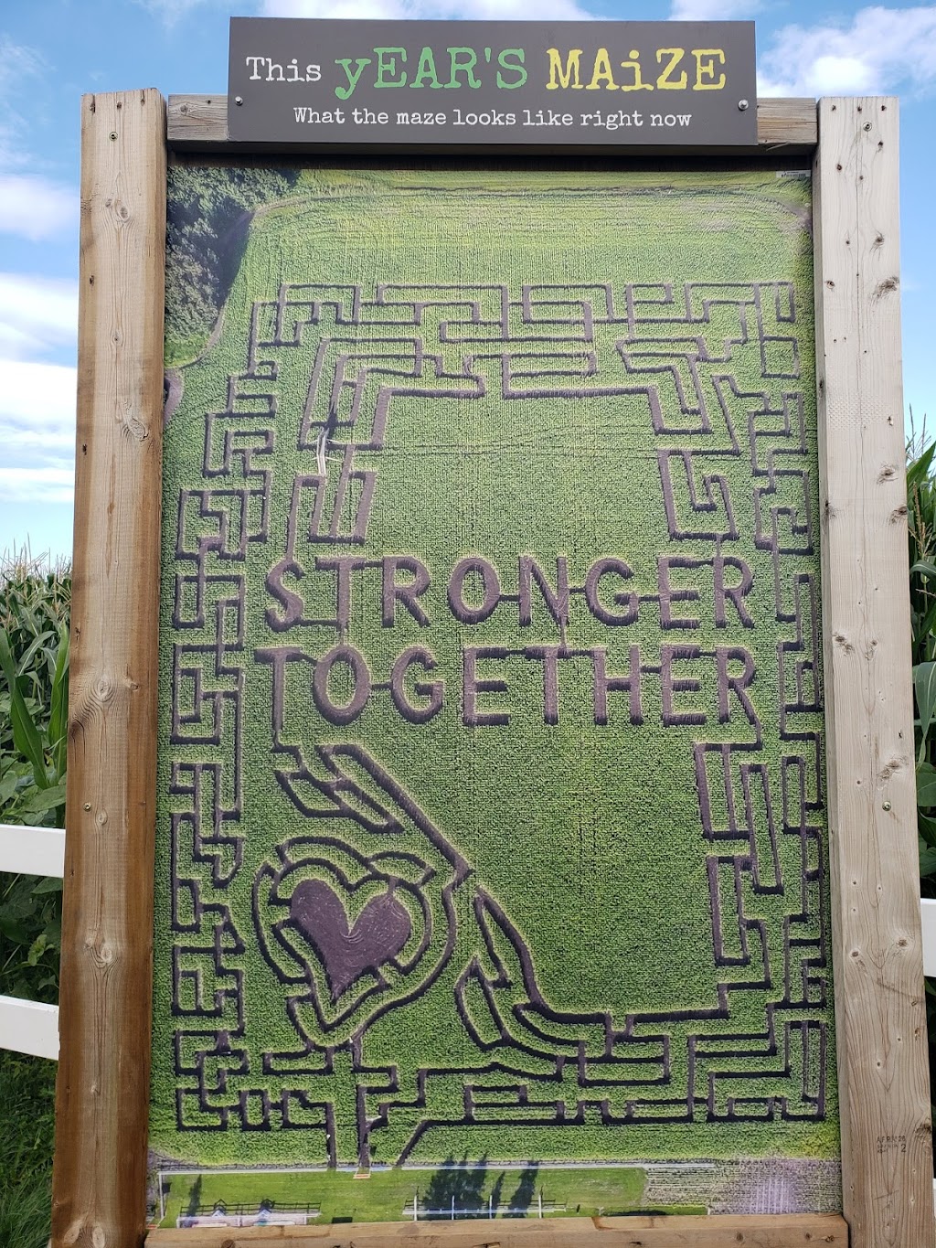 Edmonton Corn Maze | 26171 Secondary Hwy 627, Spruce Grove, AB T7Y 1B3, Canada | Phone: (825) 535-3600