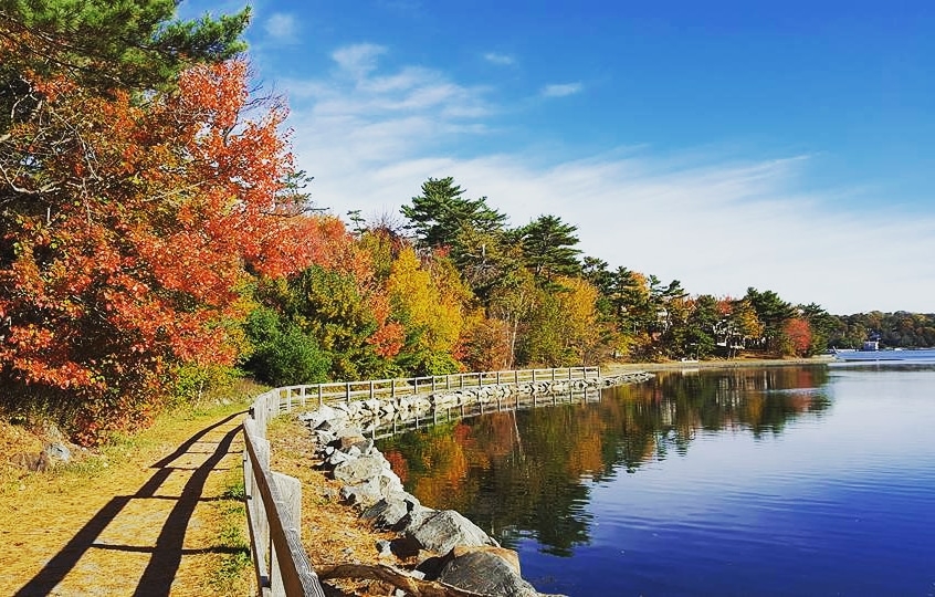 Takeya Japanese Acupuncture | 225 Spinnaker Dr, Halifax, NS B3N 3C3, Canada | Phone: (902) 412-3393