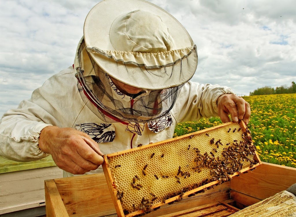 Beekeeping Techopia | 3117 Boul Industriel, Laval, QC H7L 4P8, Canada | Phone: (450) 239-1517