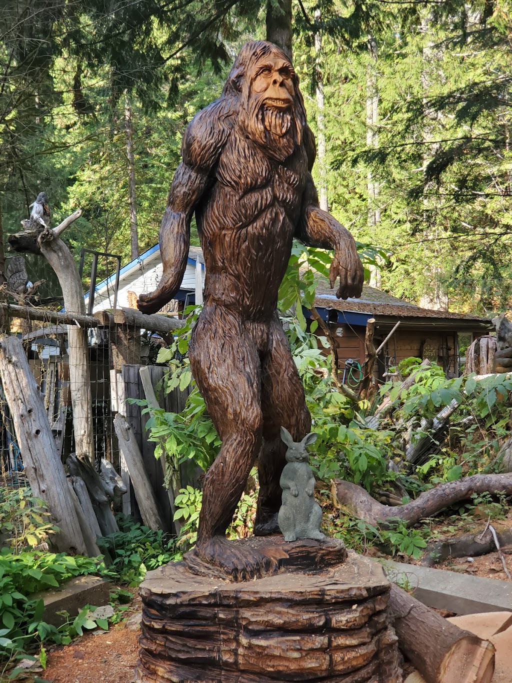 West Coast Chainsaw Artist | 4010 Forbidden Plateau Rd, Courtenay, BC B9J 1P9, Canada | Phone: (778) 992-1032