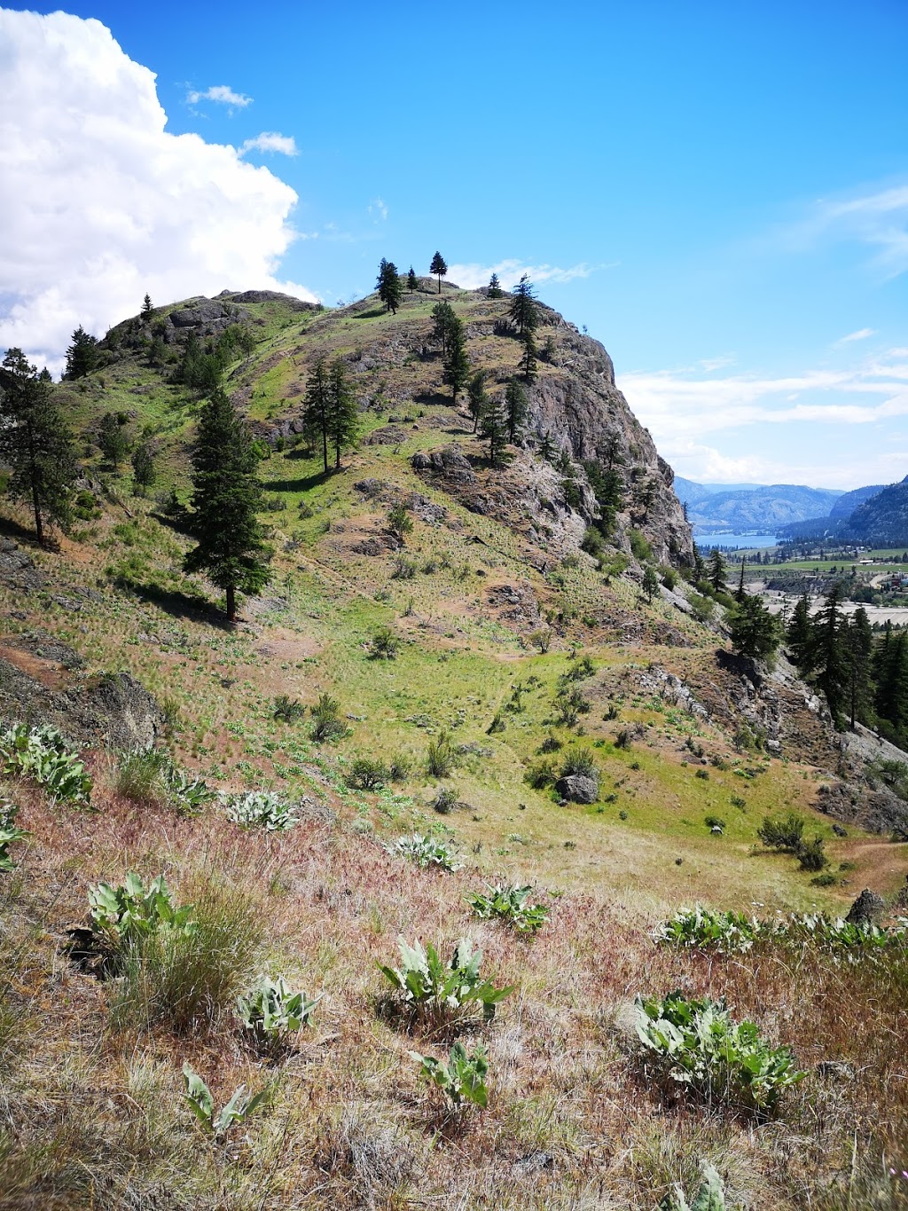 Peach Cliff Hike Trail Head | 3860-4094 McLean Creek Rd, Okanagan Falls, BC V0H 1R1, Canada